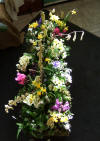 Spring coffin spray